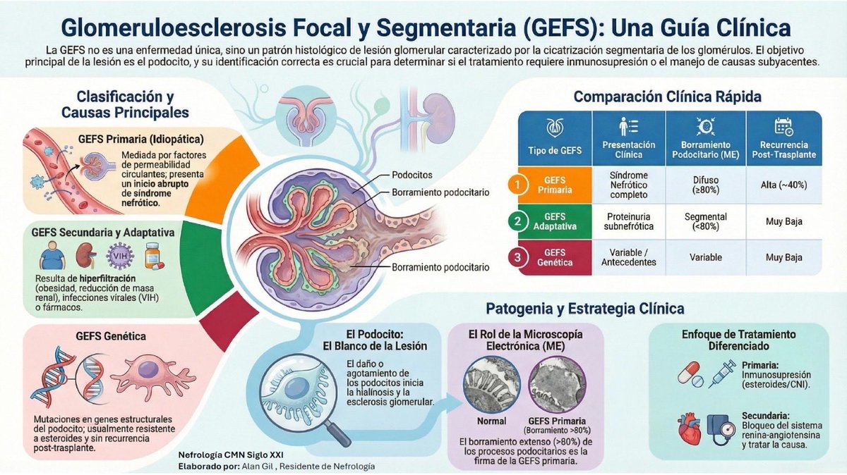 NefroCMNSXXI's tweet photo. La Glomeruloesclerosis Focal y Segmentaria (GEFS) no es una enfermedad única, sino un patrón histológico. Identificar la etiología es el paso crítico para evitar tratamientos innecesarios. https://t.co/8Gv9h5Yz4l