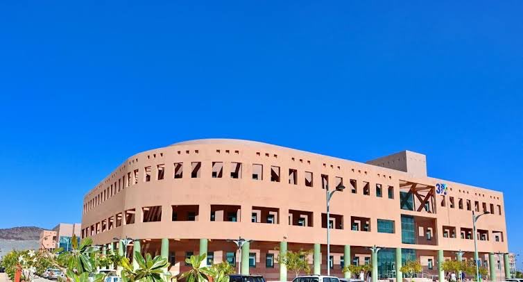 من الباحة tweet media