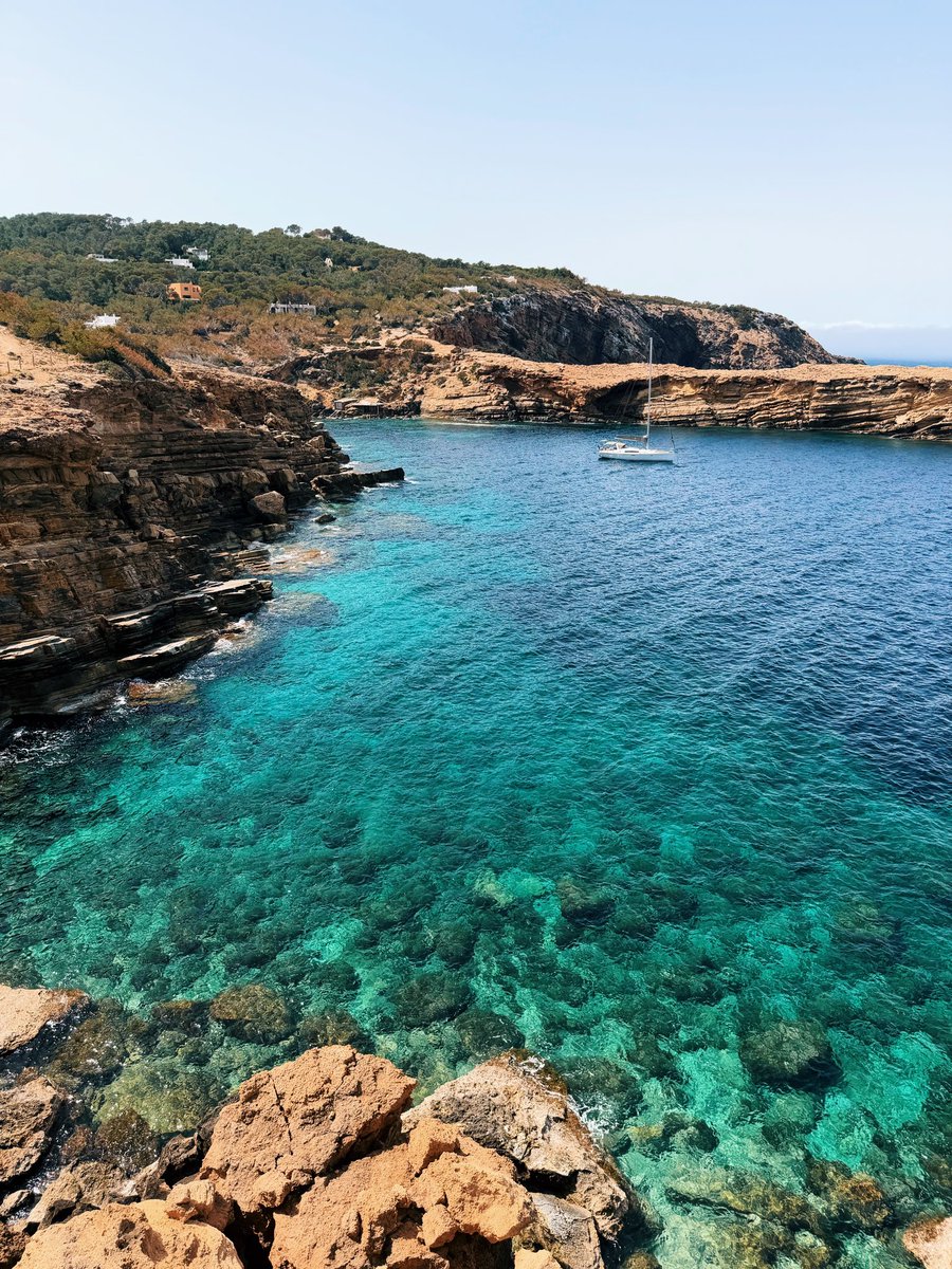 Lee Hinton tweet media