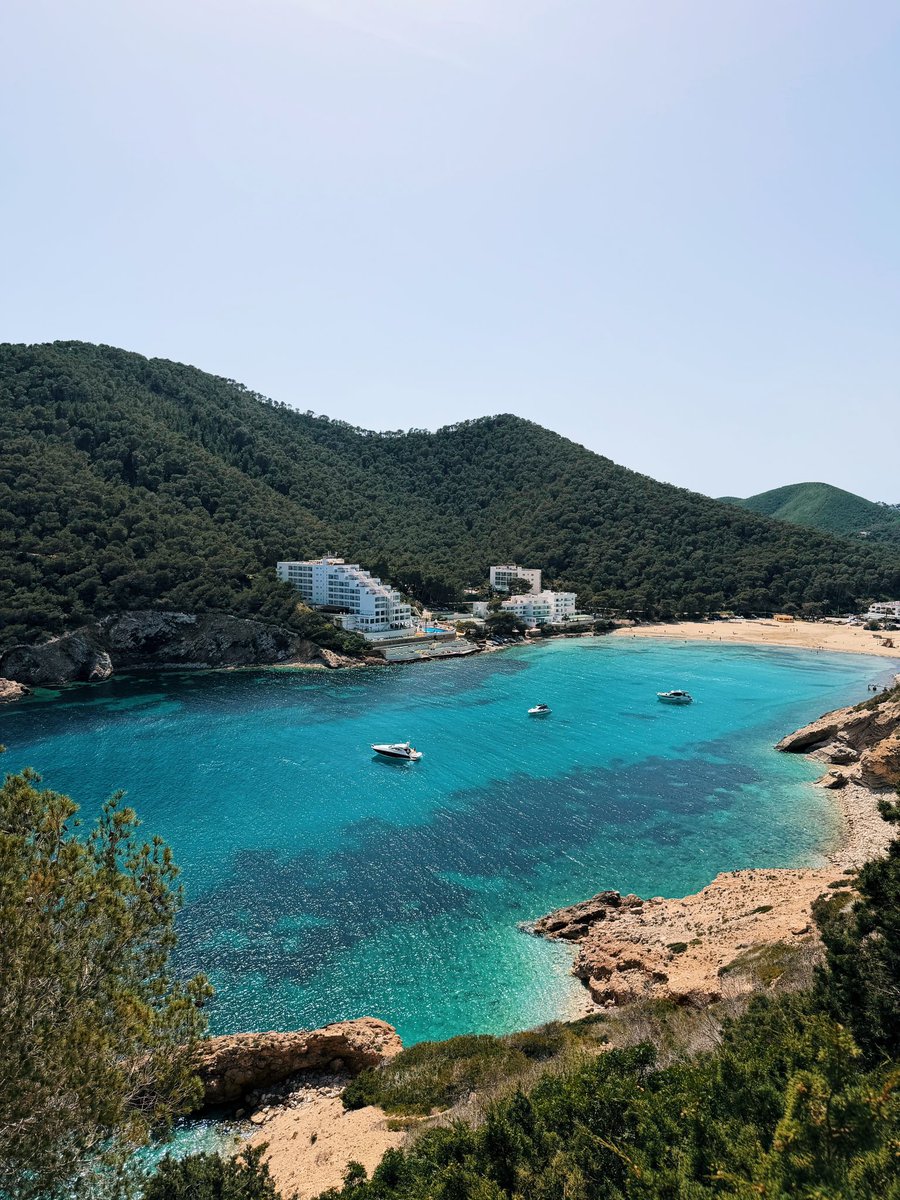 Lee Hinton tweet media