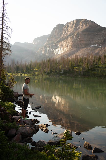 Richard Webb tweet media