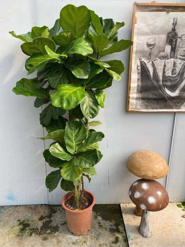 Garry Whittle tweet media