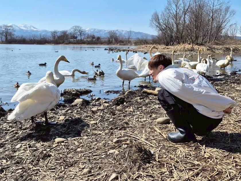 あっしぃ tweet media