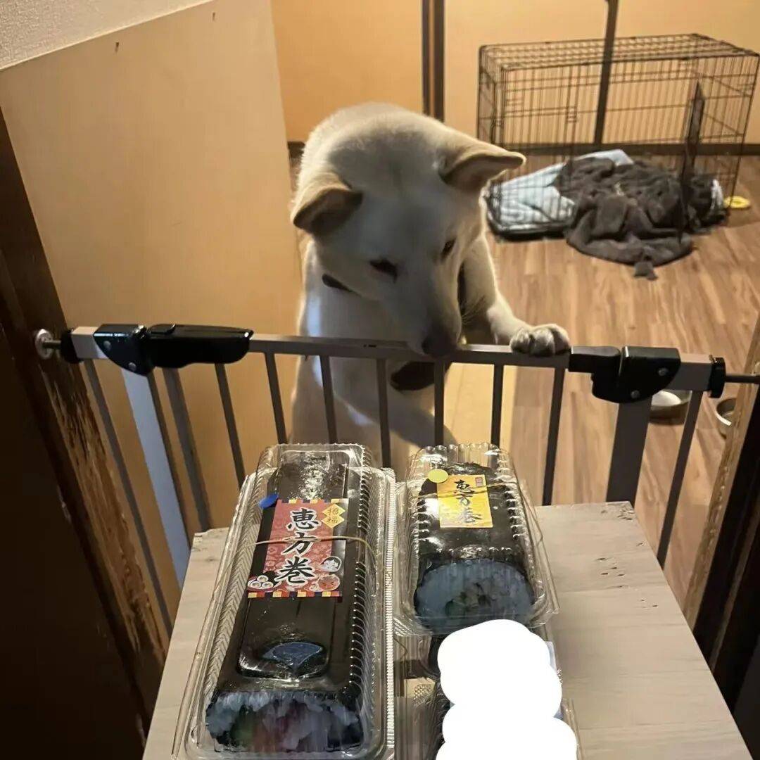 visem456 tweet media