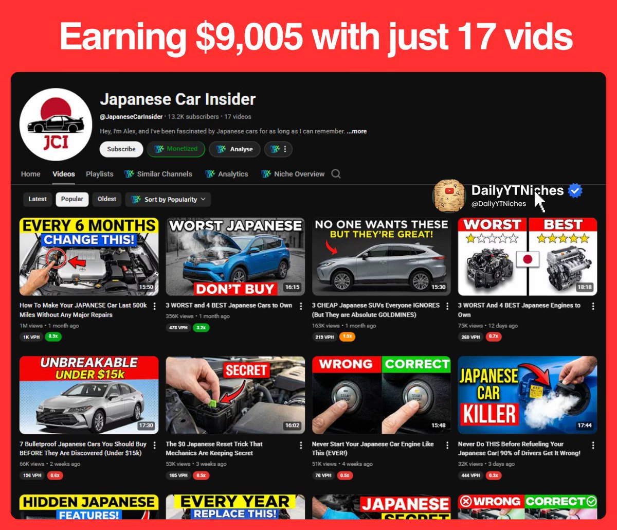 DailyYTNiches tweet media