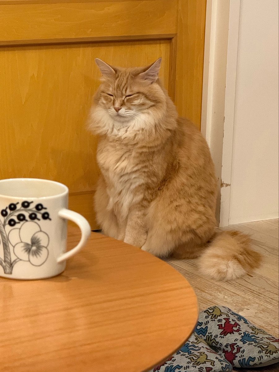 最近ずっとこんな感じ