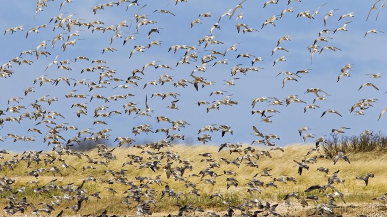 dama7944 tweet media