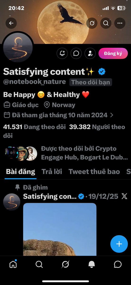 Hông Lâm tweet media