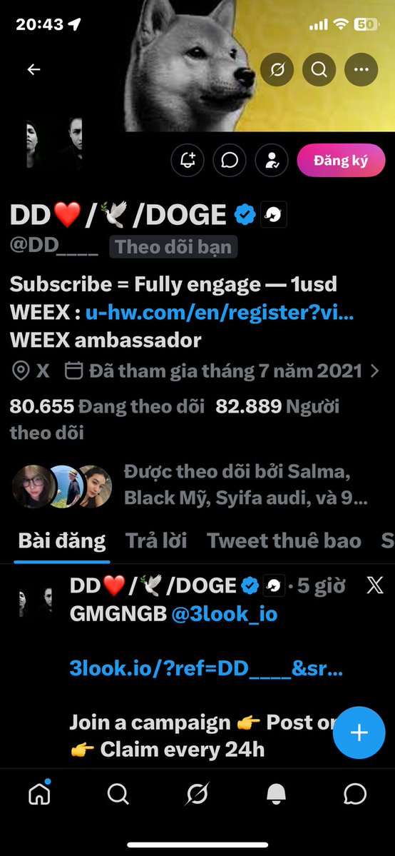 Hông Lâm tweet media