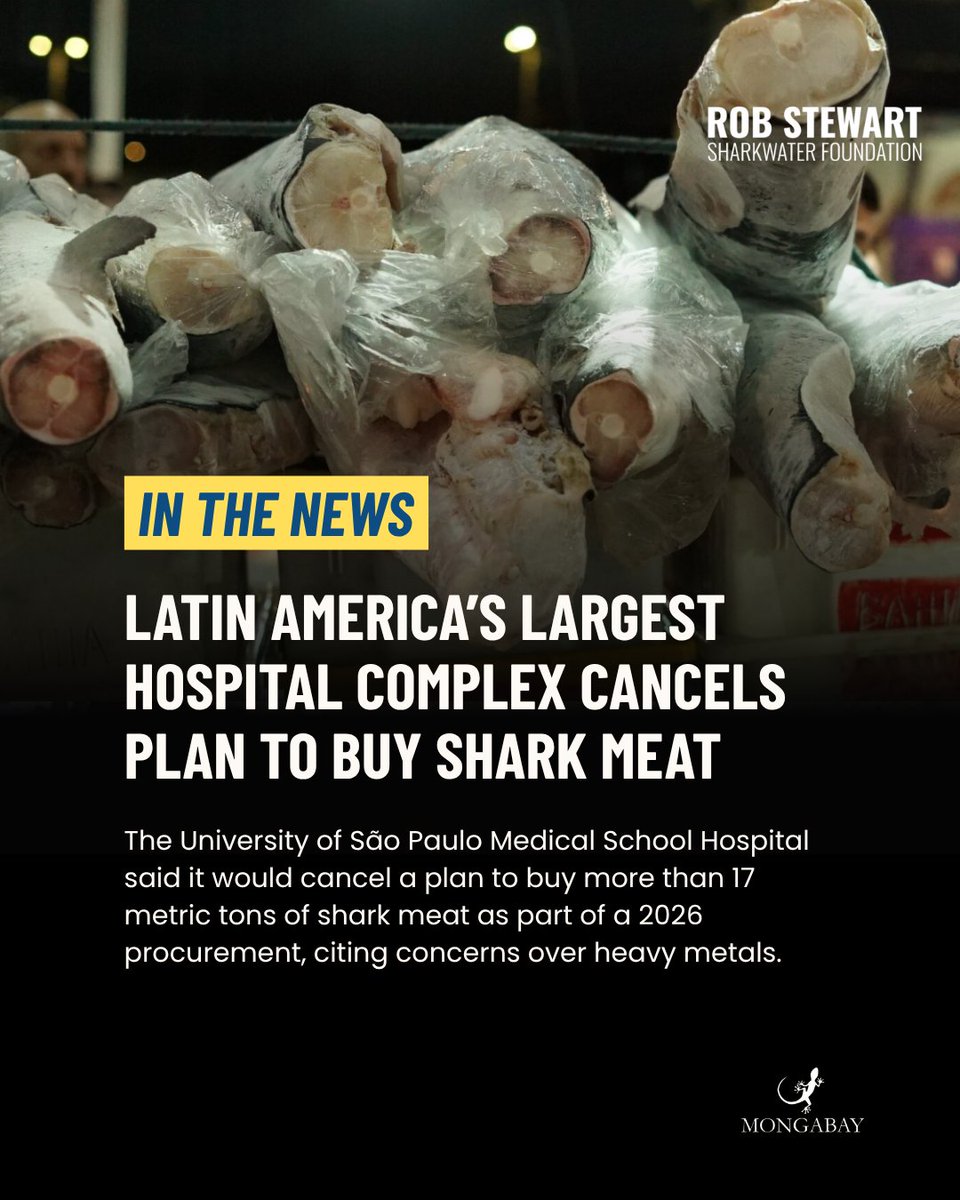 Fin Free tweet media