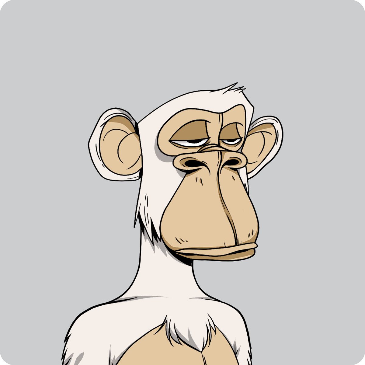 kobrakao's tweet photo. Crazy to think the Bored Ape Yacht Club is almost five years old and no traits still remain the number one trait. https://t.co/olp0gMk8We