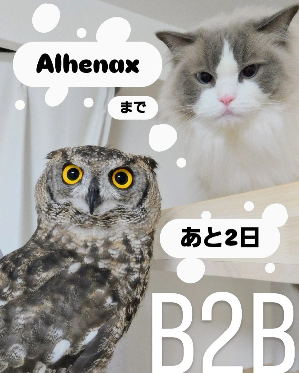 ぬいぬい@4/11 Alhenax tweet media