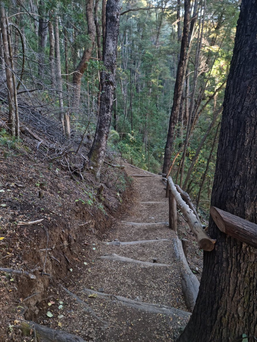 tomyydou's tweet photo. Paz 

#bariloche #caminar #trekking https://t.co/oxC1DHCT8e