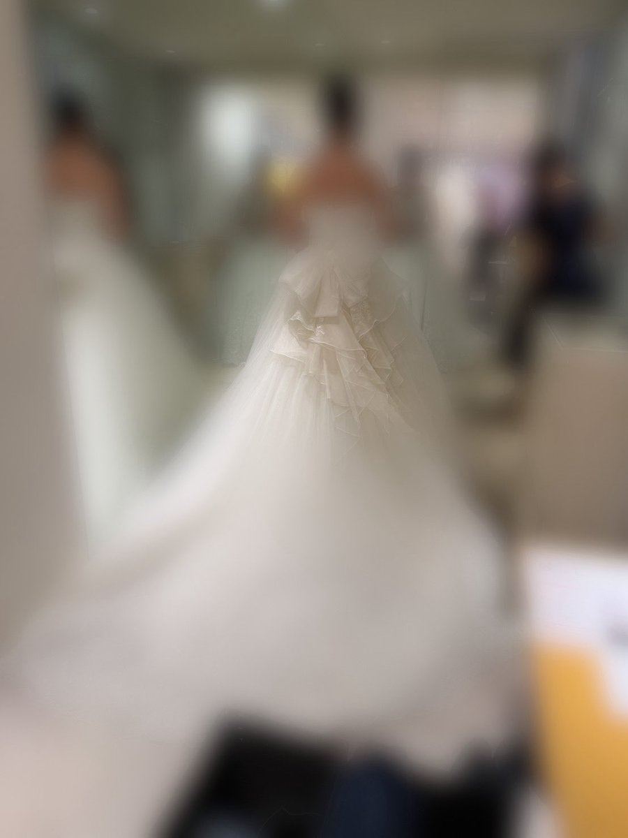 桃猫キノコ🍄🐈‍⬛ tweet media