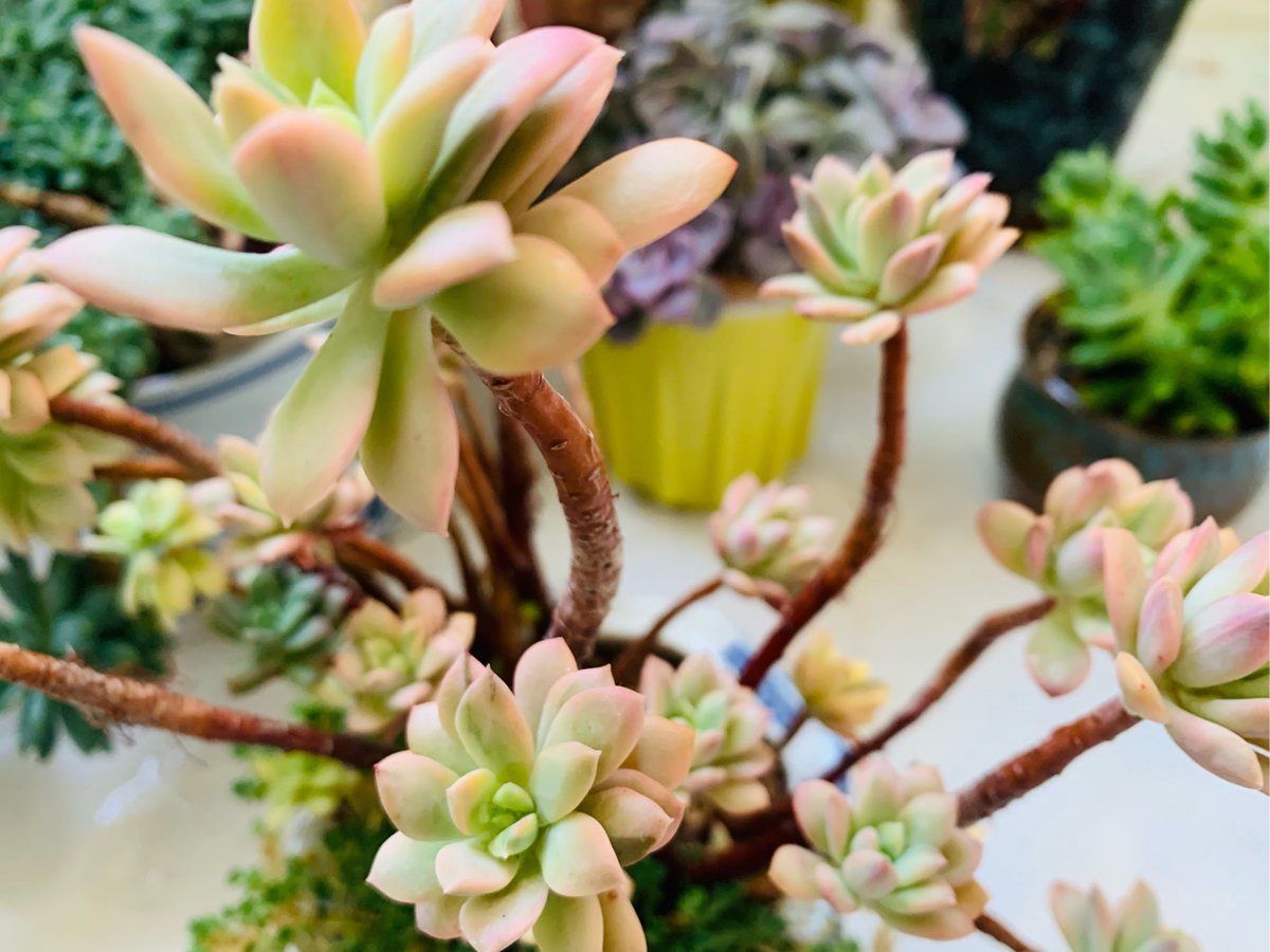 Wendy Phillips tweet media