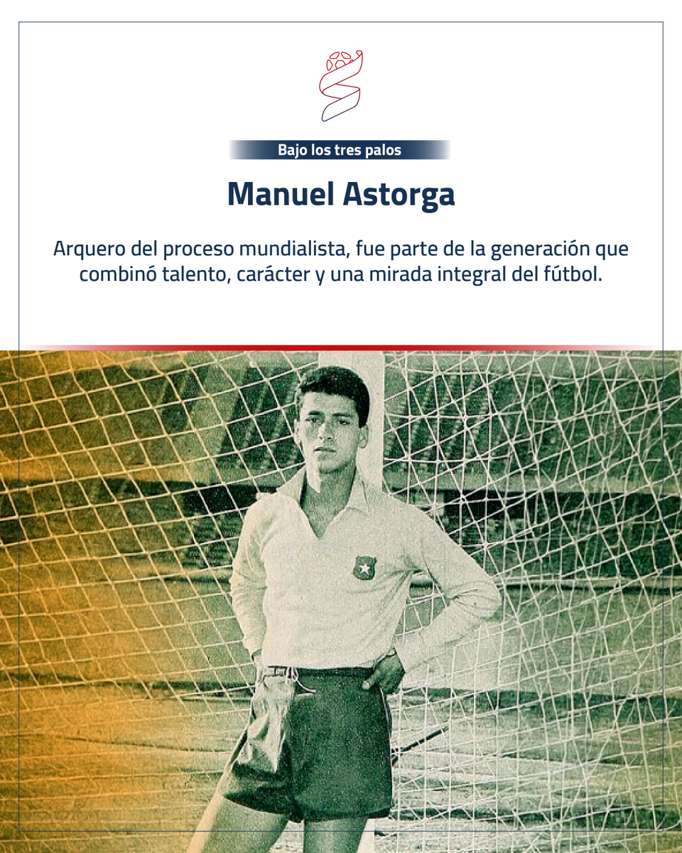 Sifup Chile tweet media