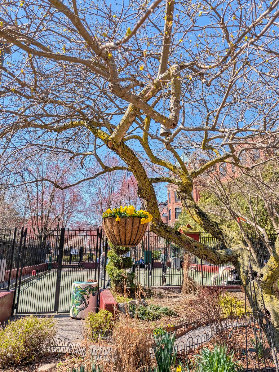 Brooks Payne tweet media