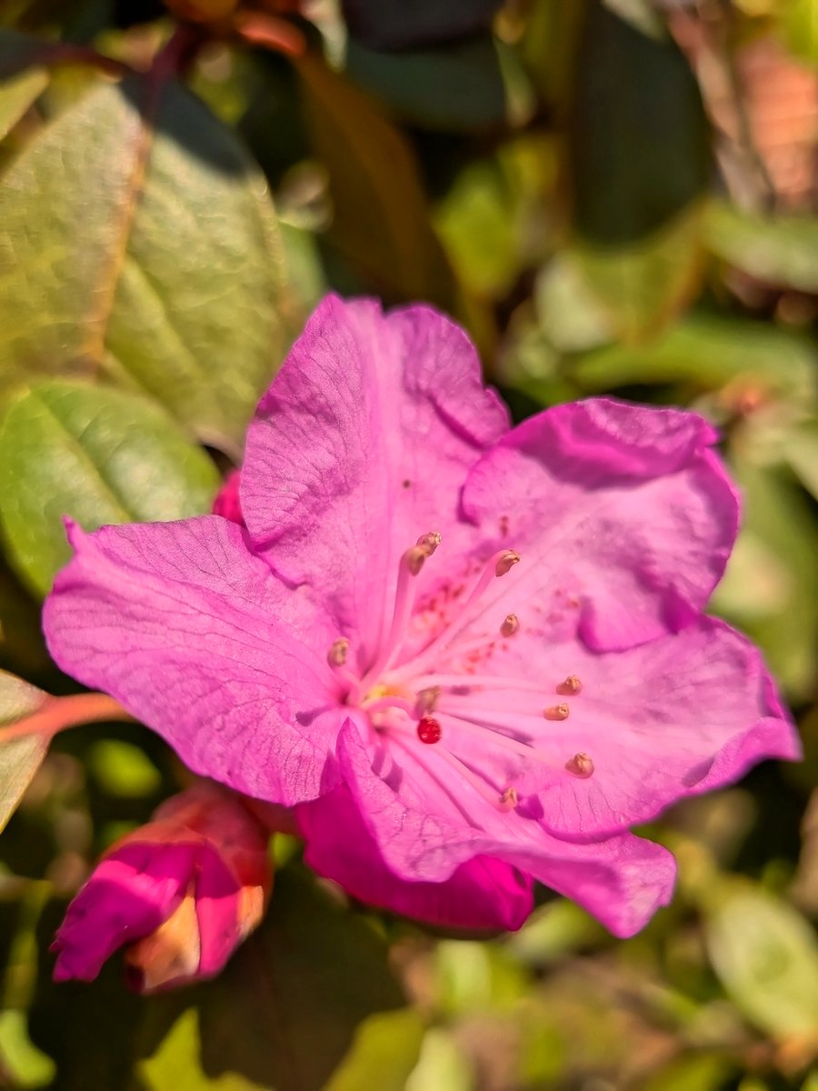 Brooks Payne tweet media