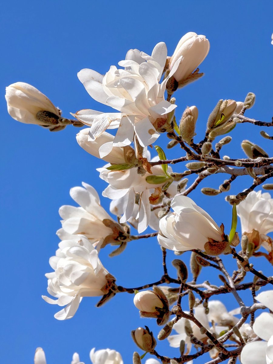 Brooks Payne tweet media