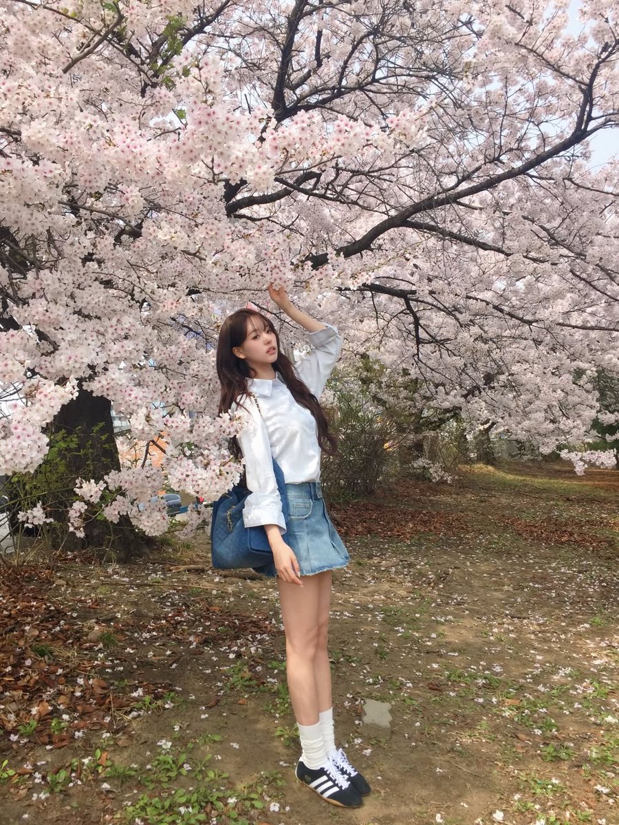 ann 🌻 tweet media