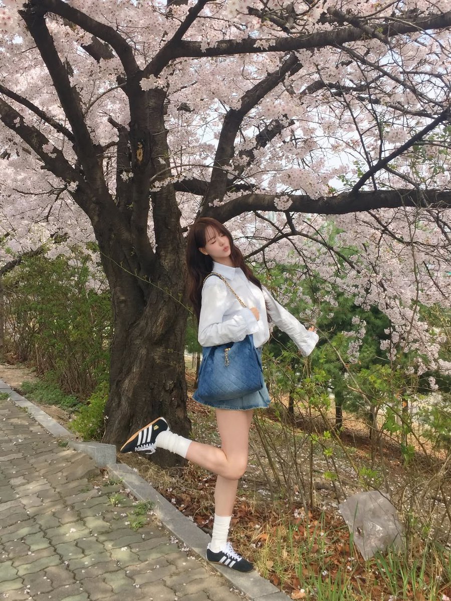 ann 🌻 tweet media