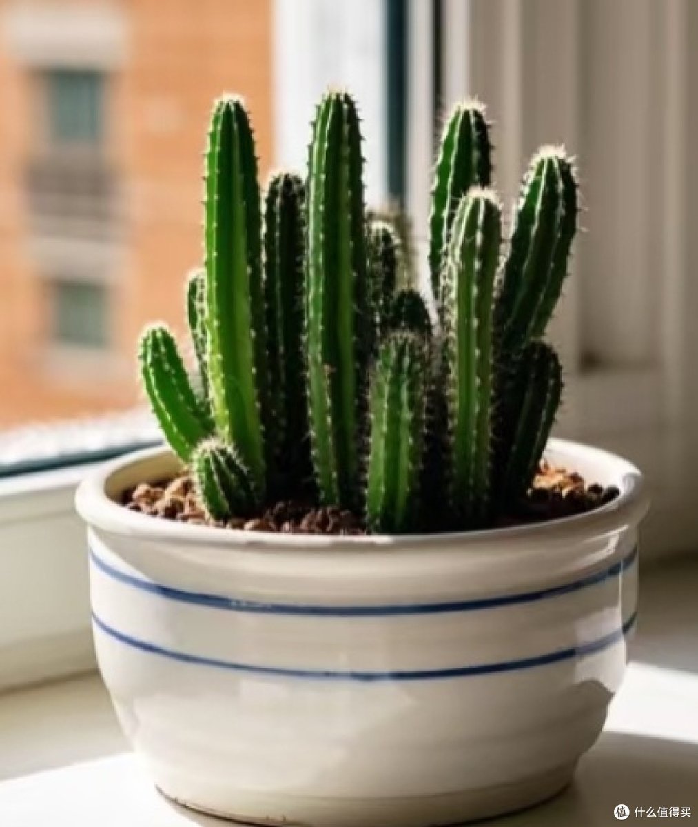 mary chipchase tweet media