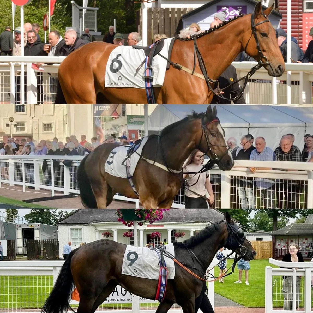 Let's Be Lucky Racing tweet media
