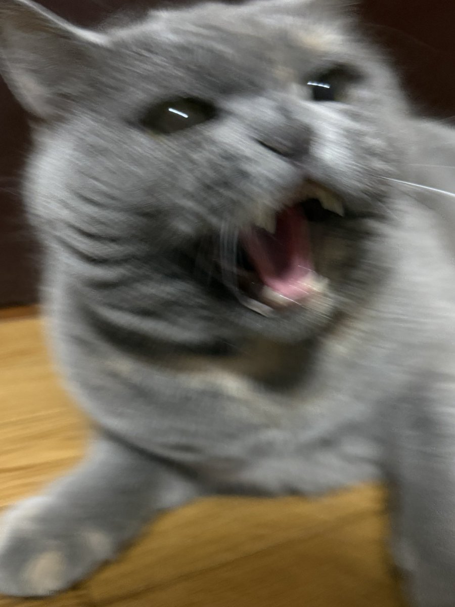 まそっぷ tweet media