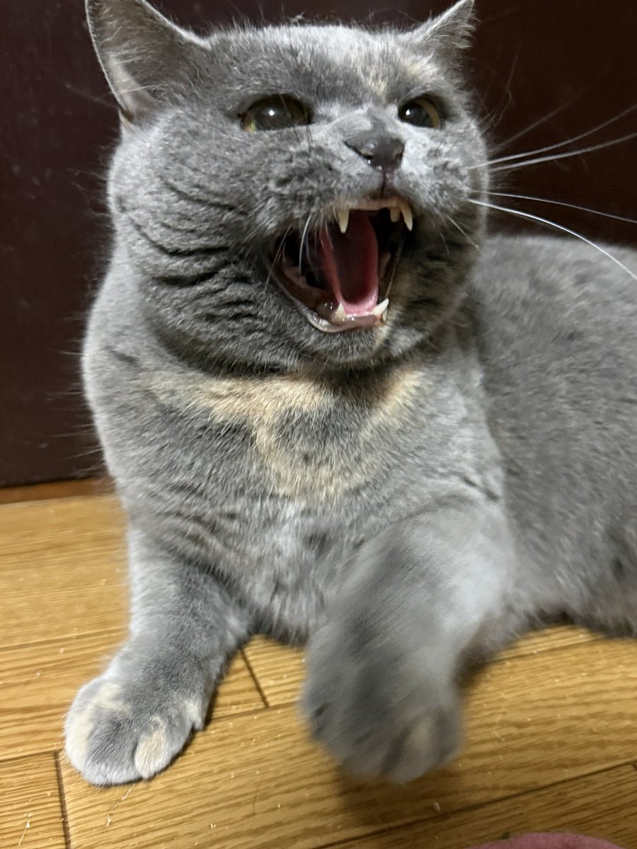 まそっぷ tweet media