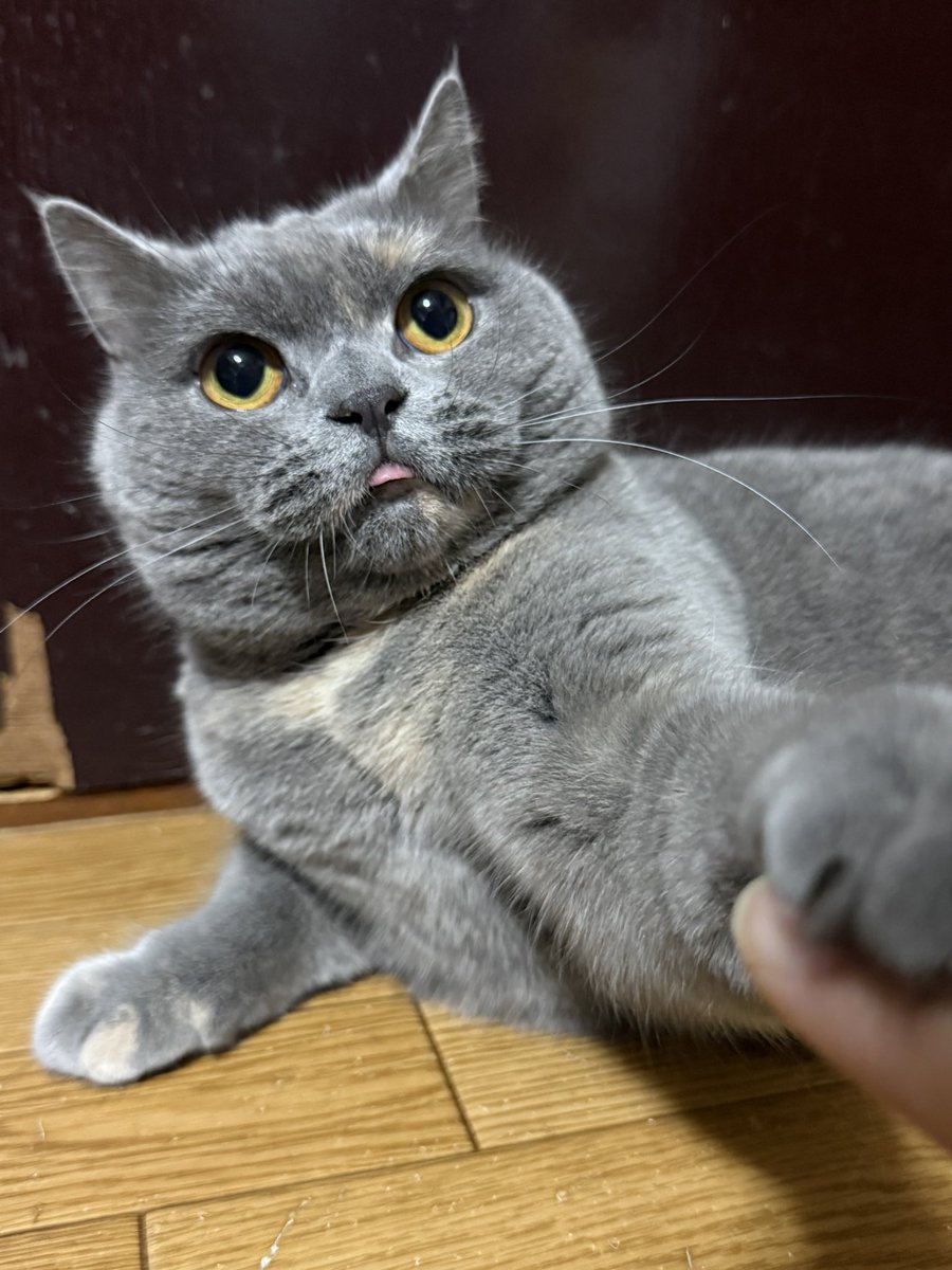 まそっぷ tweet media