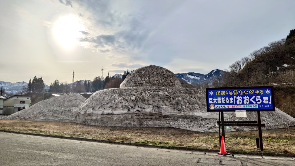 ぽむ👾@愛猫投稿bot tweet media