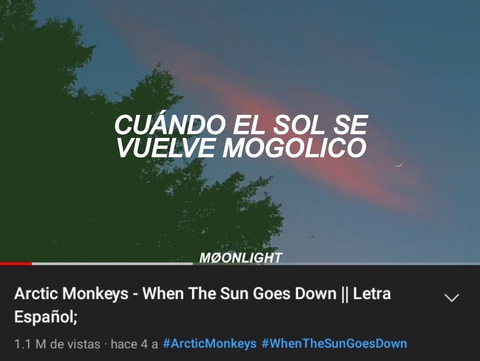 samu 🪤 tweet media