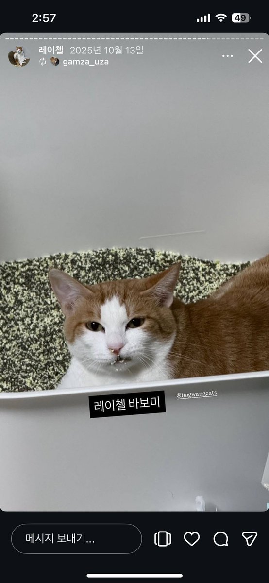 호수 tweet media