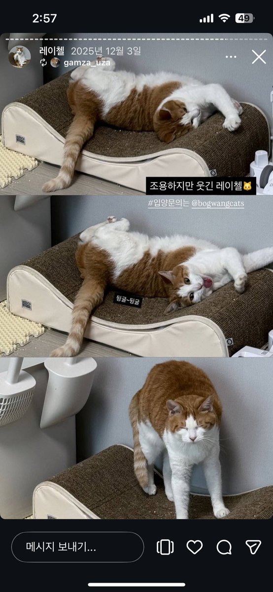 호수 tweet media