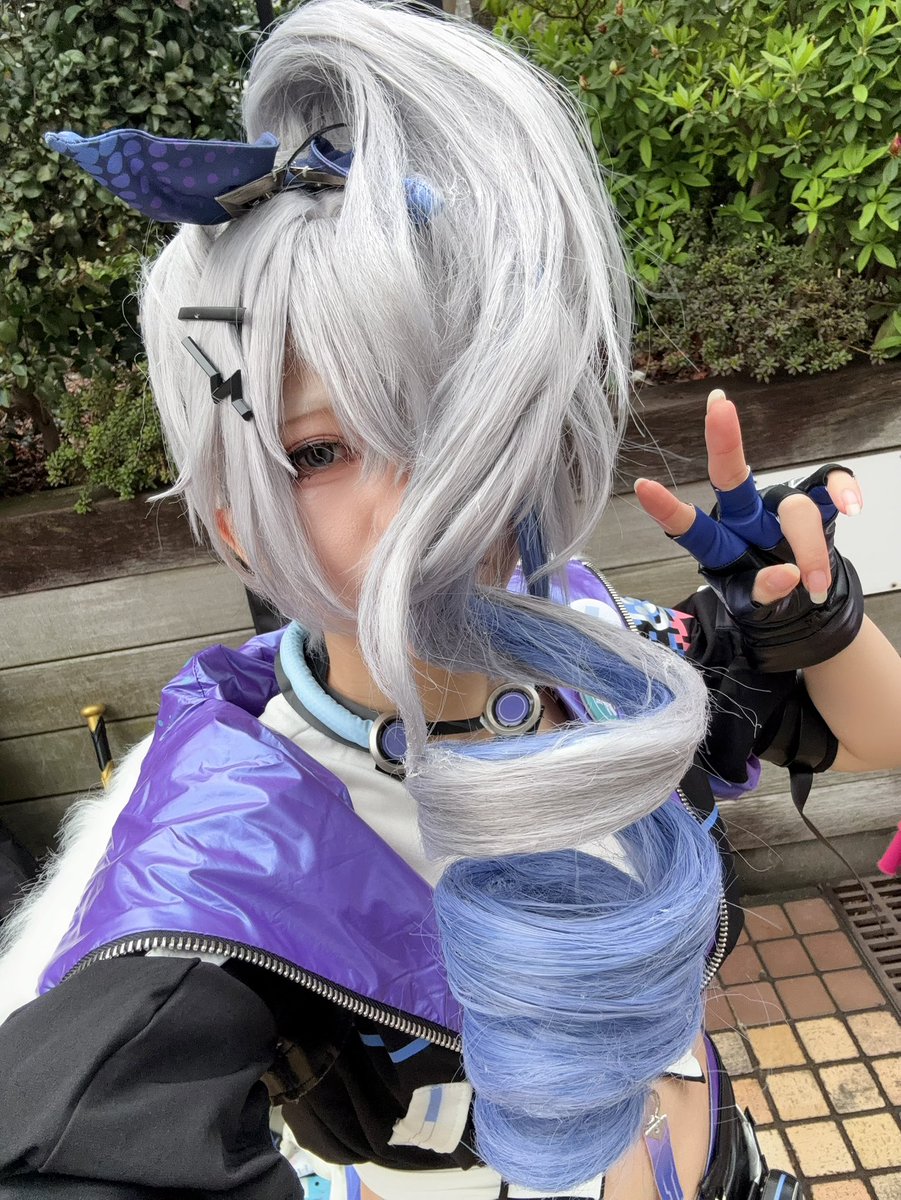 みやま敷 tweet media