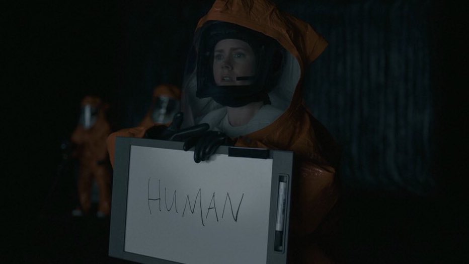 Zofia Urbanek tweet media