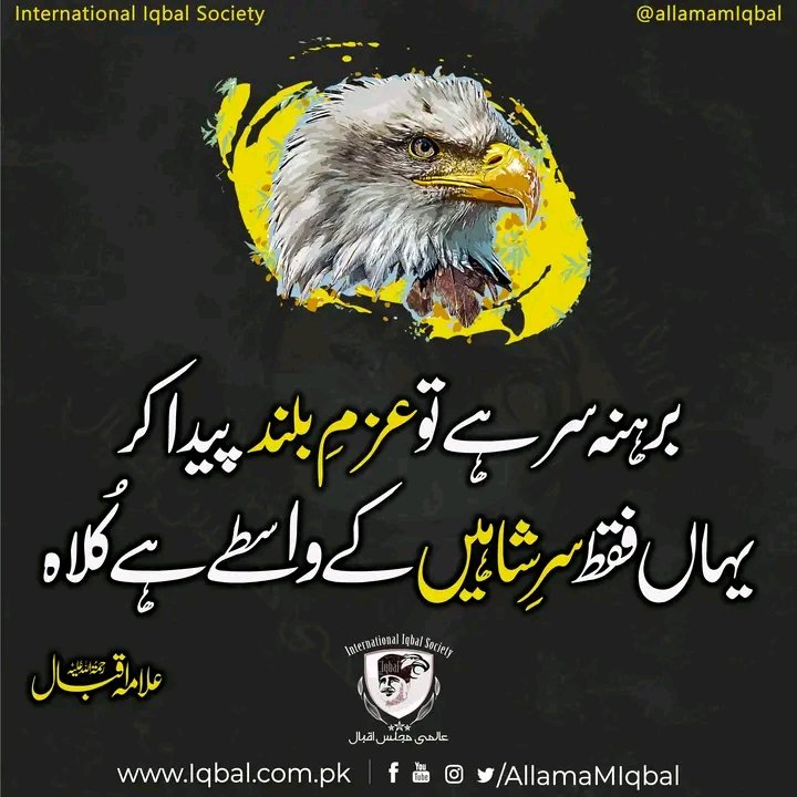 Mohib Writes tweet media