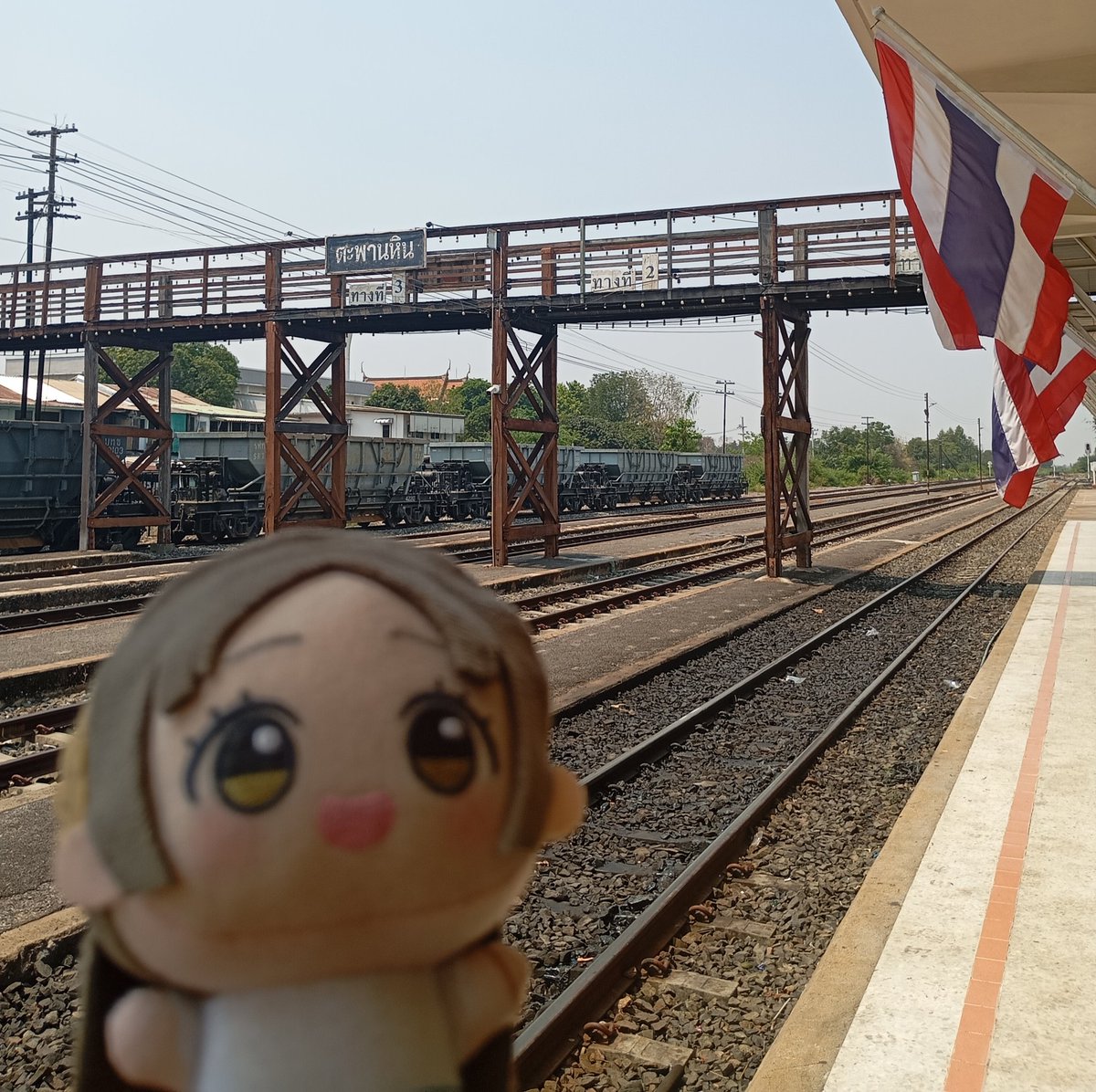 FERGUS🇹🇭 tweet media