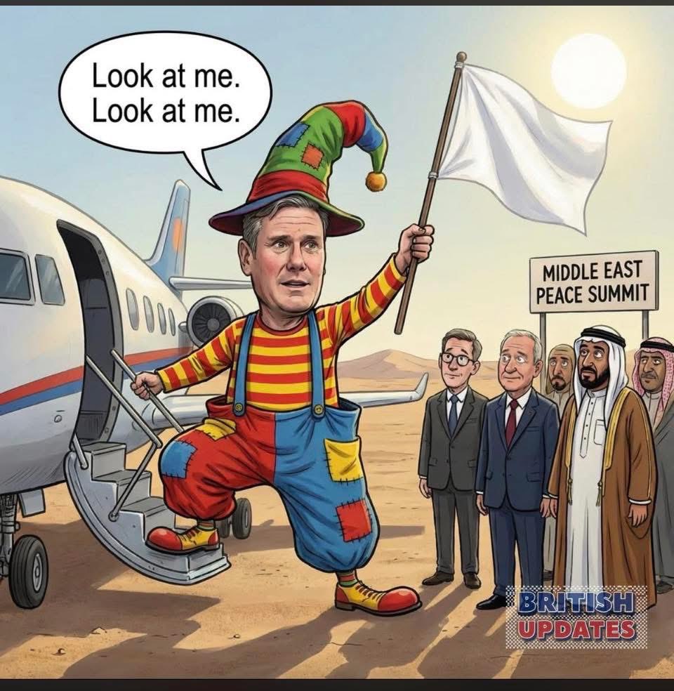 𝔗𝔦𝔪 𝔑𝔢𝔴𝔩𝔦𝔫𝔤 tweet media