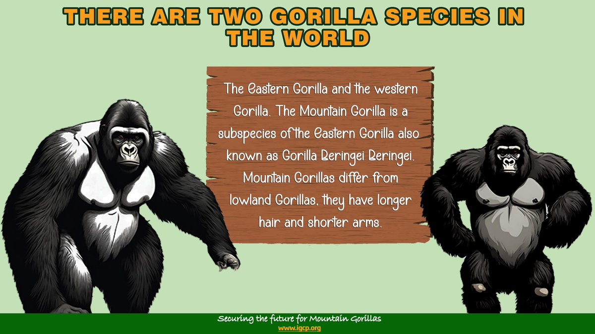 IGCP's tweet image. #DYK?