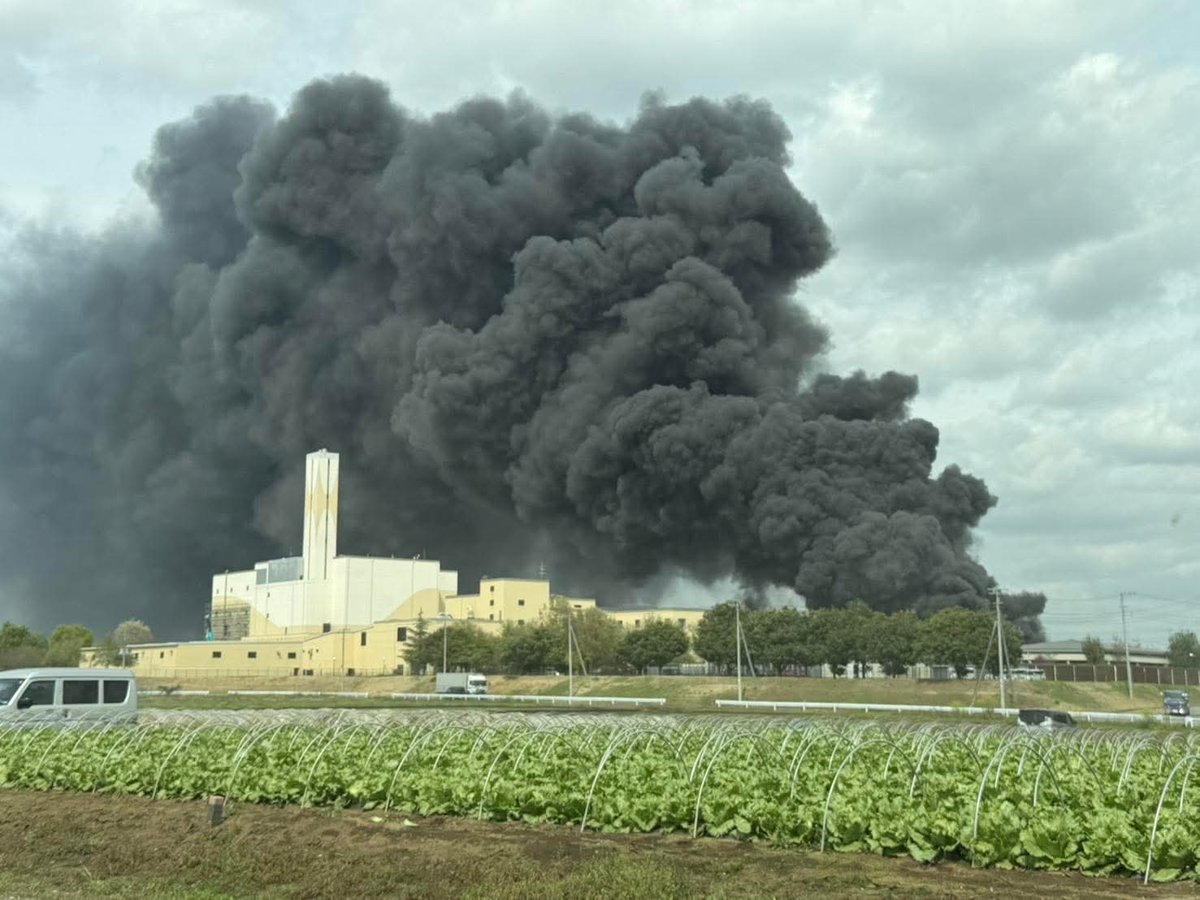 ひろさん@茨城B&C&M tweet media