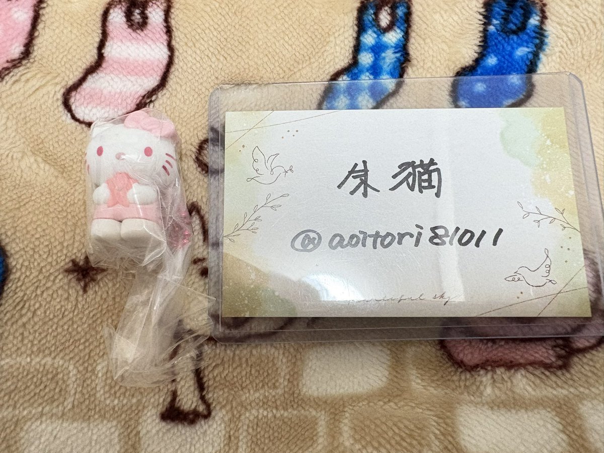 朱猫(あかねこ)@詳細はプロカ tweet media