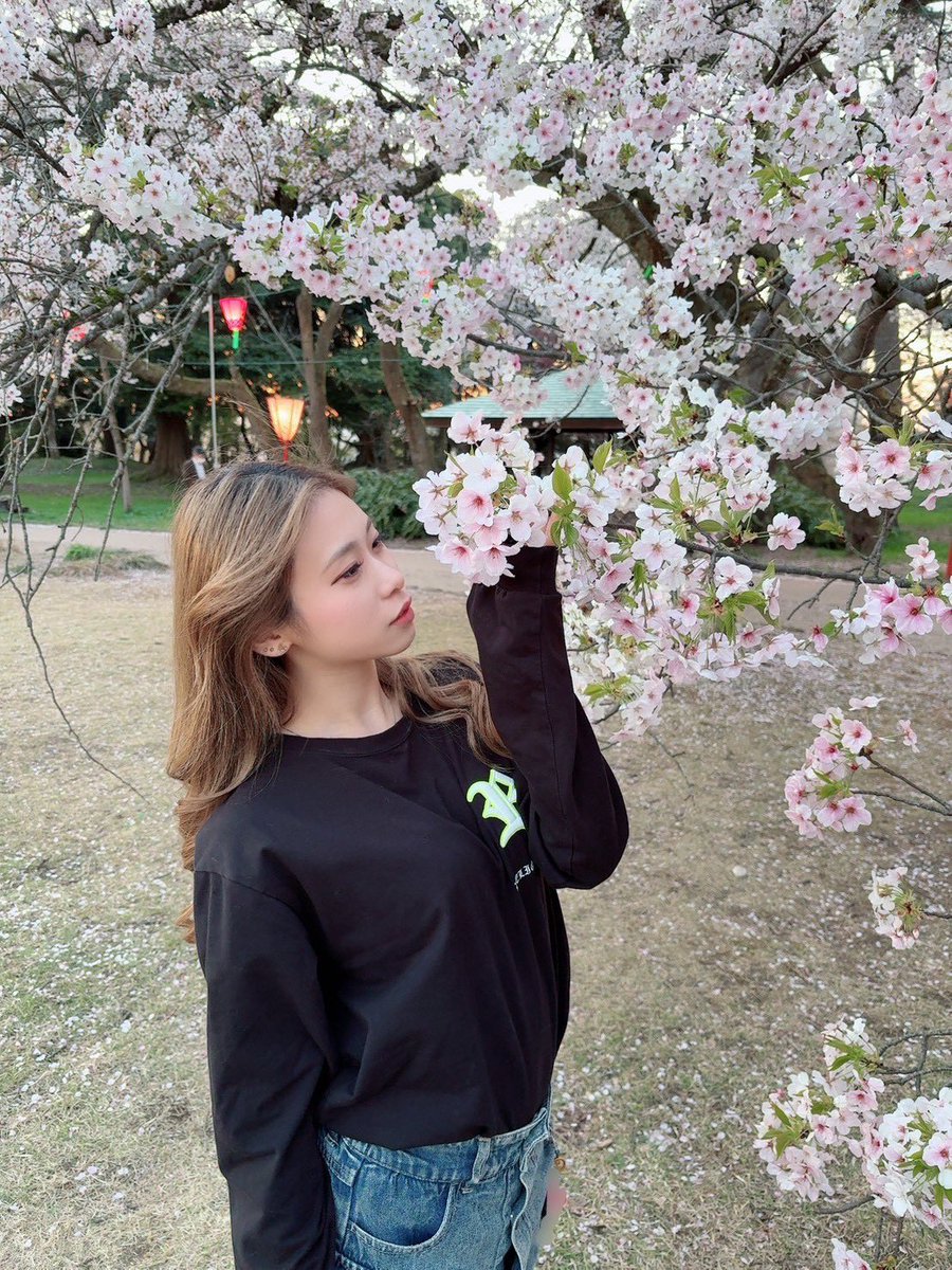 浅生珠菜 tweet media