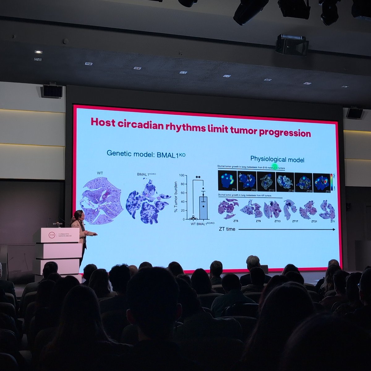 Corresponsables tweet media