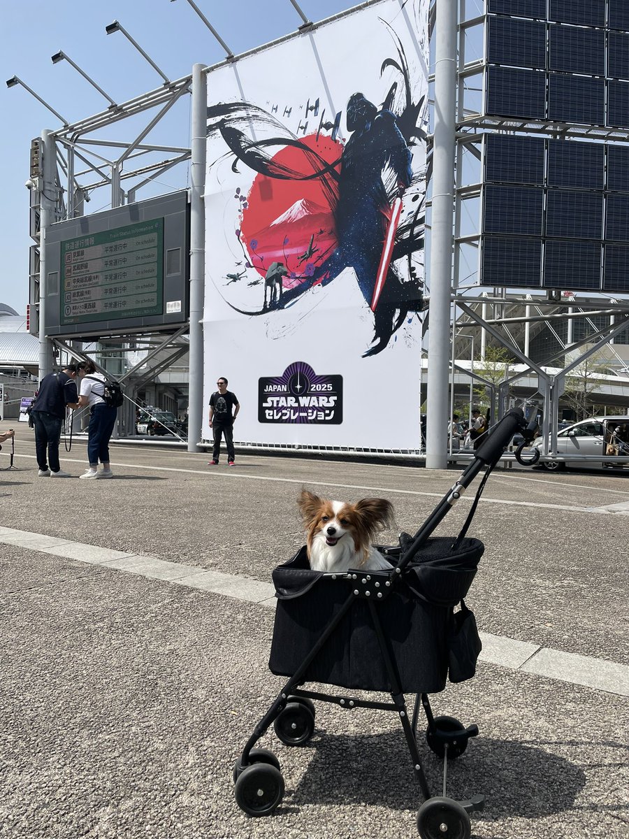 kanaluke tweet media