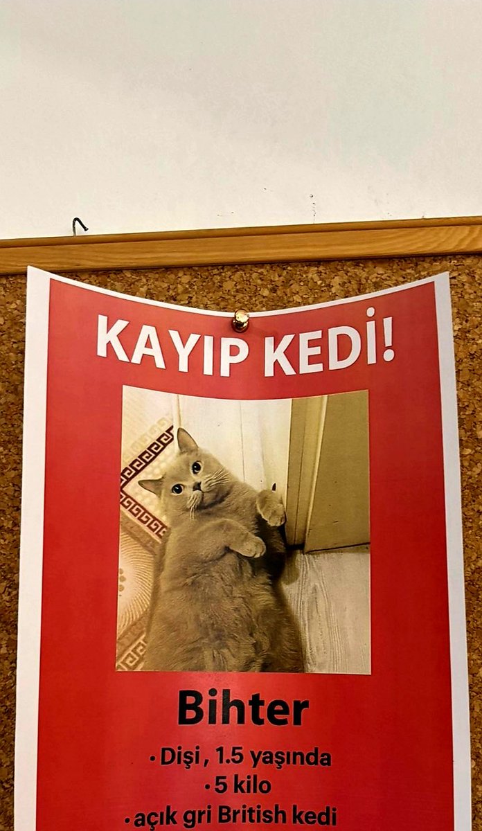 —  λ y d ı η  — tweet media