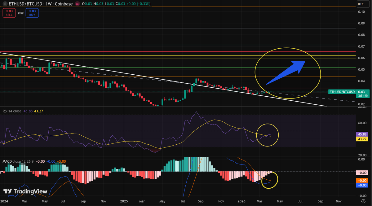 Marcell Hölbling tweet media