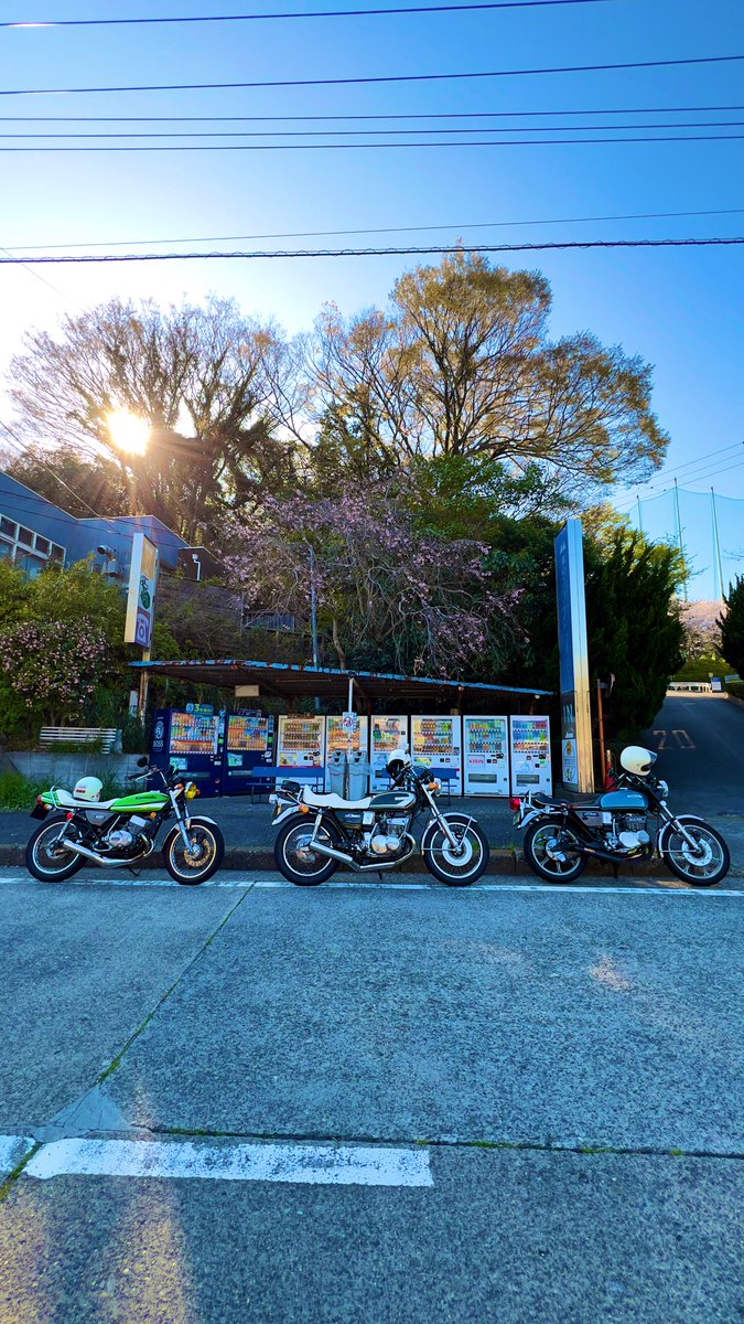 NY channel tweet media