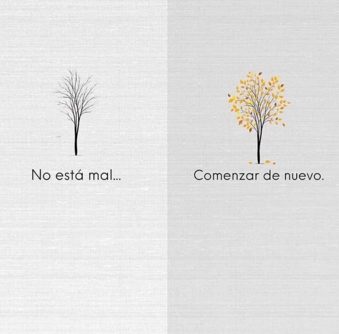 🌙 mini textos tweet media