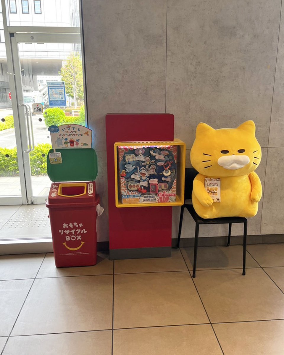 ノラネコぐんだん公式 tweet media